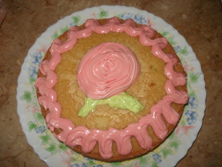 271111_232399240124843_870661_n